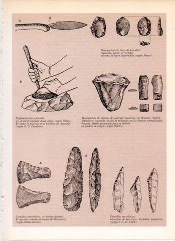 LAMINA V32179: Utensilios mesoliticos