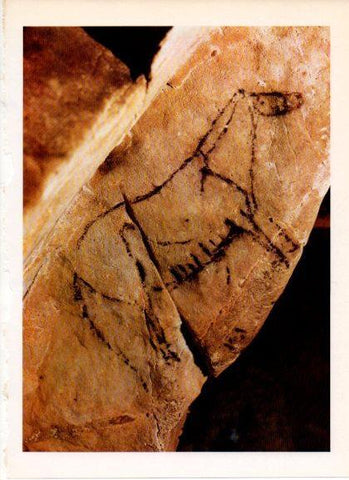 LAMINA V32181: Caballo pintura rupestre cueva de las Monedas, Santander