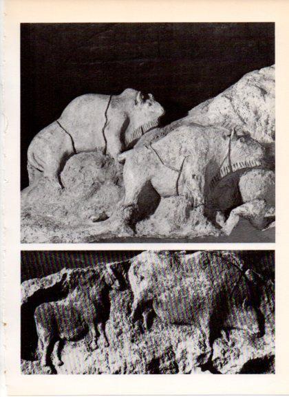 LAMINA V32189: Esculturas magdalienses, cueva de Tuc d'Audoubert