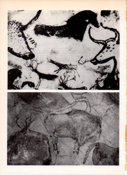 LAMINA V32190: Sala de los bisontes, cueva de Altamira