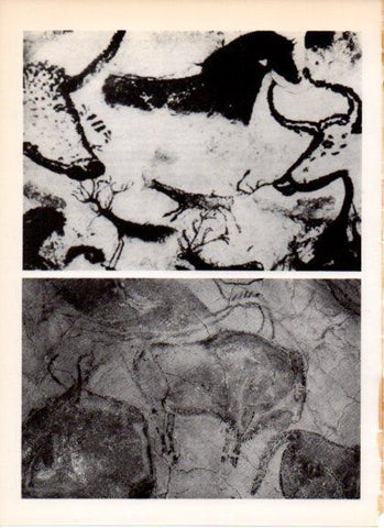 LAMINA V32190: Sala de los bisontes, cueva de Altamira