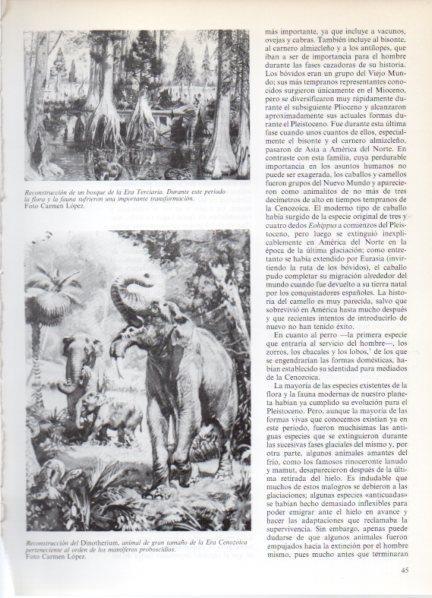LAMINA V32153: Reconstruccion del Dinotherium Era Cenozoica