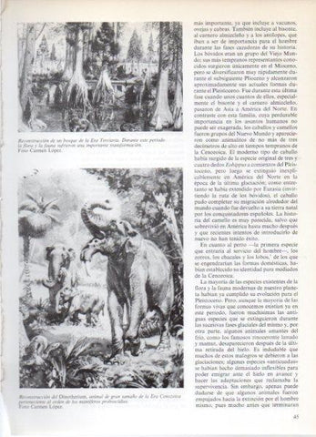 LAMINA V32153: Reconstruccion del Dinotherium Era Cenozoica
