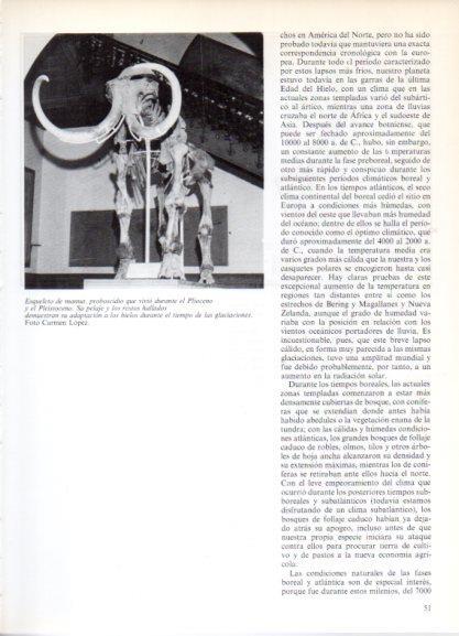 LAMINA V32155: Esqueleto de mamut