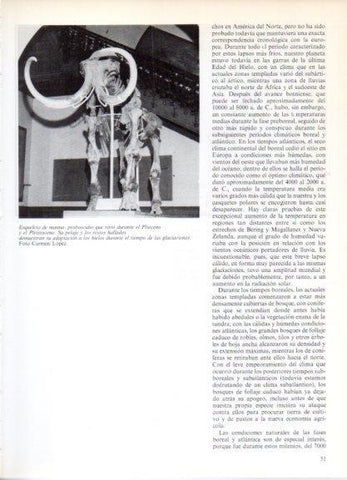 LAMINA V32155: Esqueleto de mamut