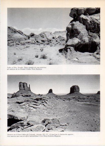 LAMINA V32156: Valley of Fire y Desierto en el Gran Cañon Colorado, Estados Unidos