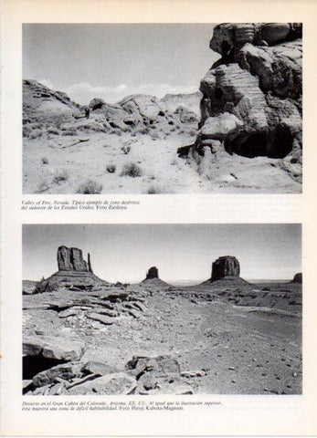 LAMINA V32156: Valley of Fire y Desierto en el Gran Cañon Colorado, Estados Unidos