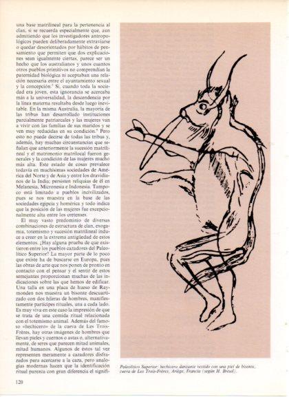 LAMINA V32173: Hechicero danzante con piel de bisonte, Paleolitico Superior