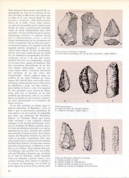 LAMINA V32164: Utiles de lasca, musterienses y del Paleolitico Superior
