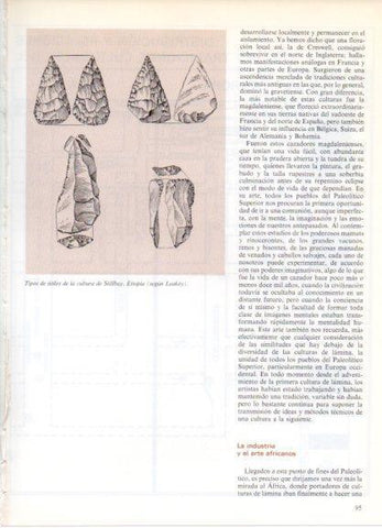 LAMINA V32166: Tipos de utiles de la cultura de Stillbay, Etiopia