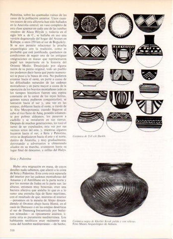LAMINA V32229: Ceramica de Tell esh Sheikh