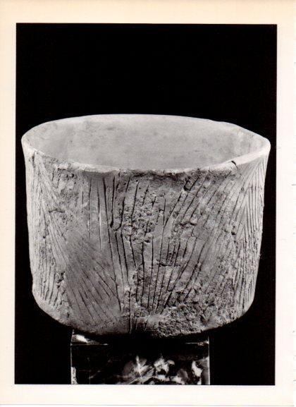 LAMINA V32200: Ceramica neolitica, Museo Arqueologico Barcelona