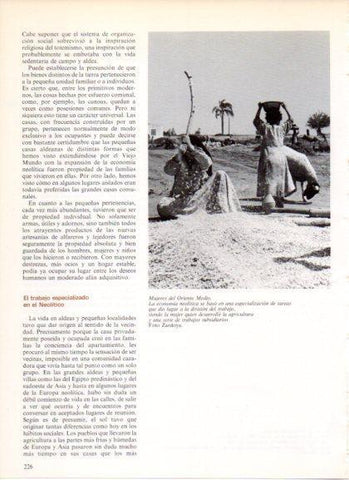 LAMINA V32203: Mujeres de Oriente Medio