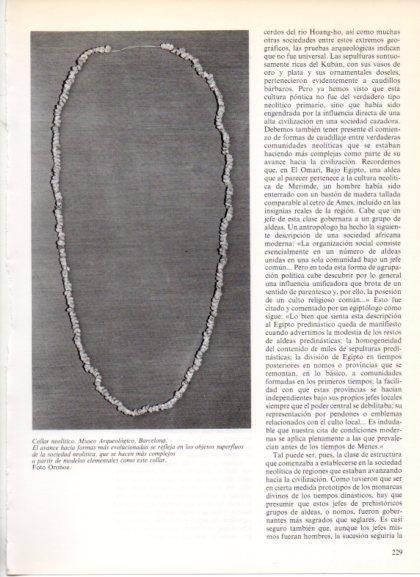 LAMINA V32204: Collar neolitico, Museo Arqueologico Barcelona