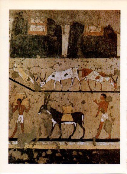 LAMINA V32206: Fresco egipcio del transporte de grano