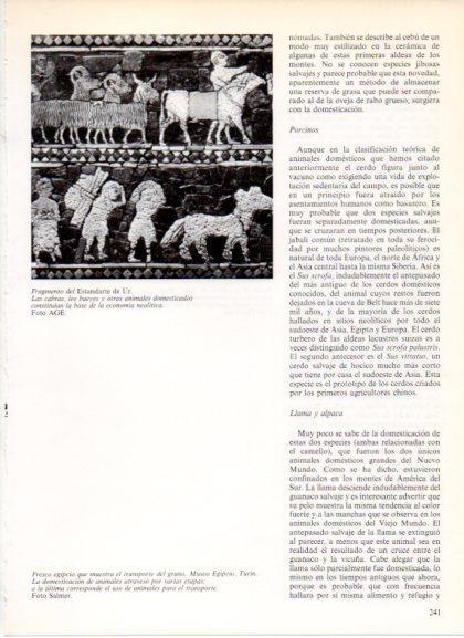 LAMINA V32207: Fragmento del Estandarte de Ur