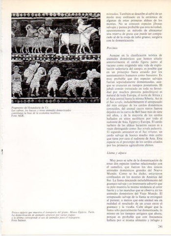 LAMINA V32207: Fragmento del Estandarte de Ur