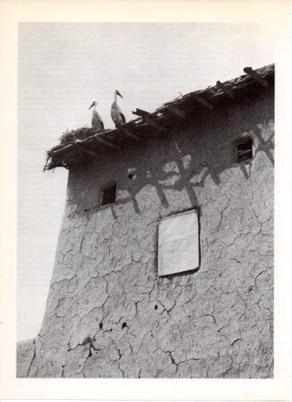 LAMINA V32208: Casa kurda de barro en Iraq