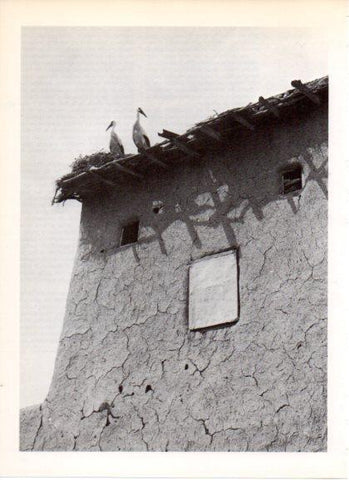LAMINA V32208: Casa kurda de barro en Iraq