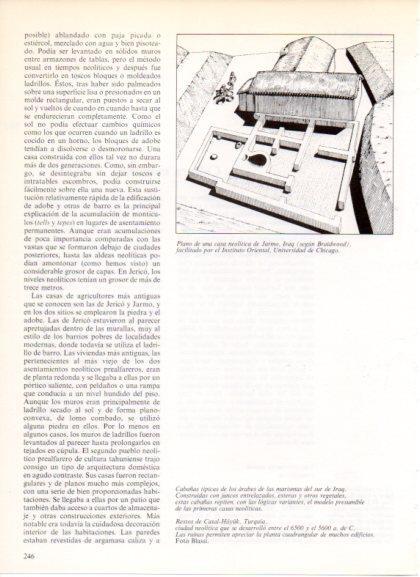 LAMINA V32209: Plano casa neolitica de Jarmo, Iraq