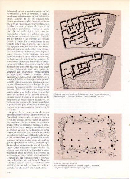 LAMINA V32211: Planos casas neoliticas de Matarrah y Knockadoon