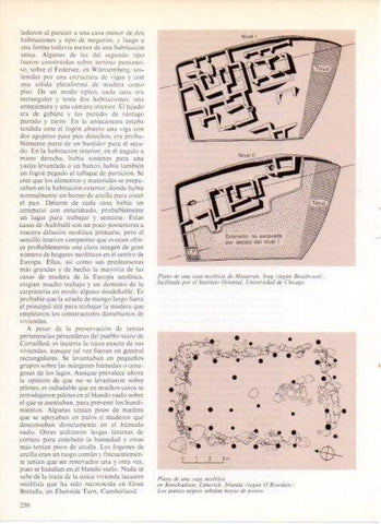 LAMINA V32211: Planos casas neoliticas de Matarrah y Knockadoon