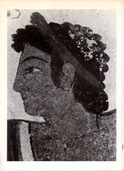 LAMINA V32341: Fragmento de una pintura etrusca al fresco
