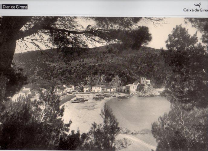 LAMINA V31619: Platja de Tamariu