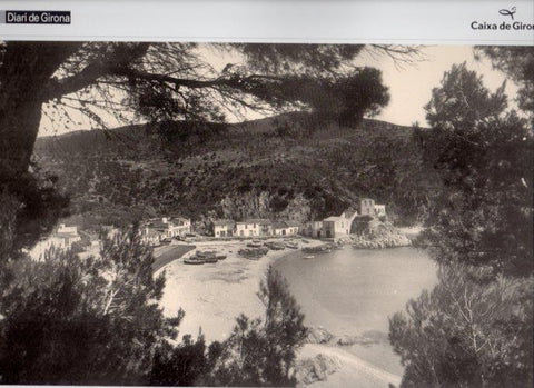 LAMINA V31619: Platja de Tamariu