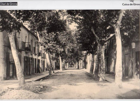 LAMINA V31549: Carretera del Veinat, Salt
