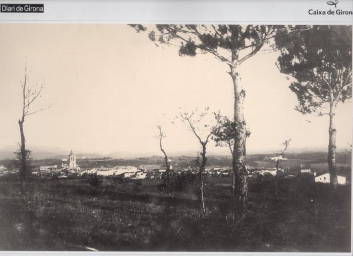 LAMINA V31573: Vista parcial de Fornells de la Selva