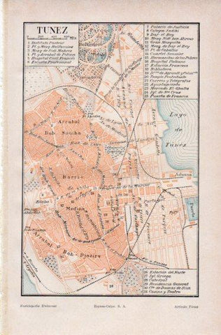 LAMINA V32652: Plano de la ciudad de Tunez