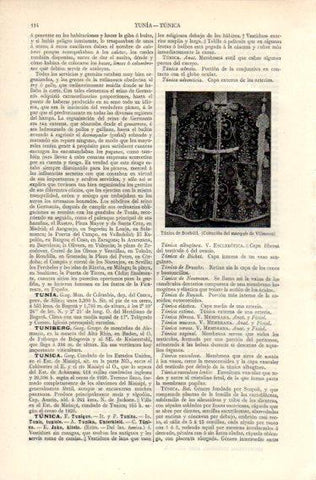 LAMINA V32645: Tunica de Boabdil