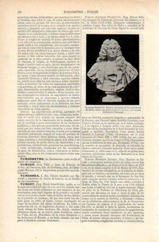 LAMINA V32670: Busto de Francisco Turgot por G. Costou