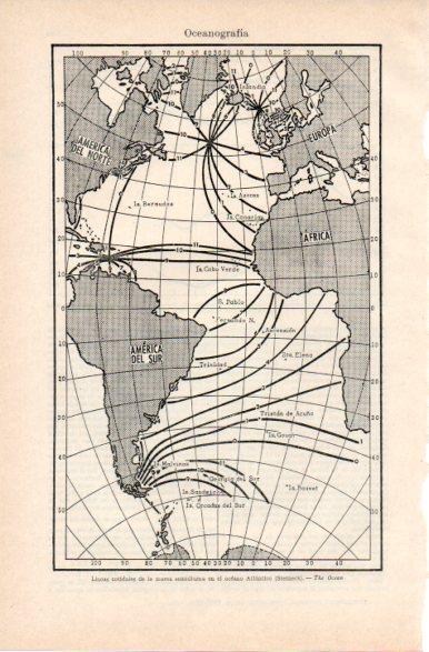 LAMINA V32871: Lineas cotidales en el oceano Atlantico