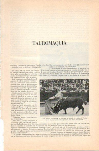 LAMINA V32879: Luis Miguel Dominguin