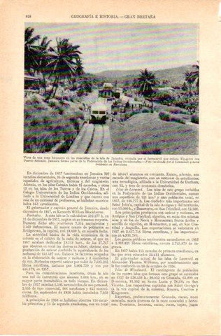 LAMINA V32822: Zona bananera de Jamaica
