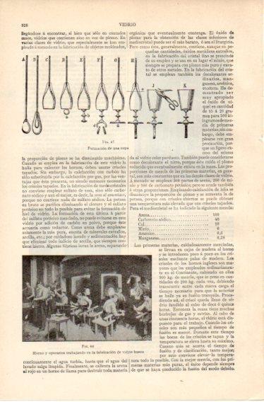 LAMINA V32469: Formacion de una copa