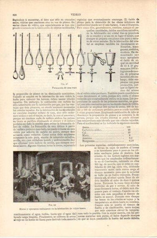 LAMINA V32469: Formacion de una copa