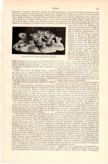 LAMINA V32459: Reproduccion en vidrio de una especie de coral
