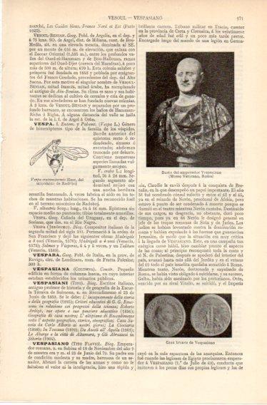 LAMINA V32362: Busto y Gran bronce de Vespasiano