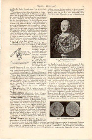 LAMINA V32362: Busto y Gran bronce de Vespasiano