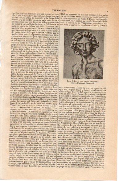LAMINA V32345: Testa de David por Andres Verrocchio