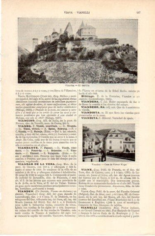 LAMINA V32385: El castillo y Casa de Victor Huego en Vianden