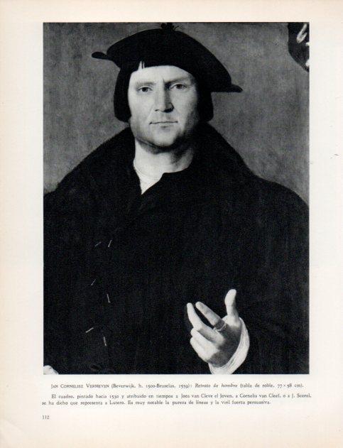 LAMINA V33029: Retrato de hombre por Jan Vermeyen