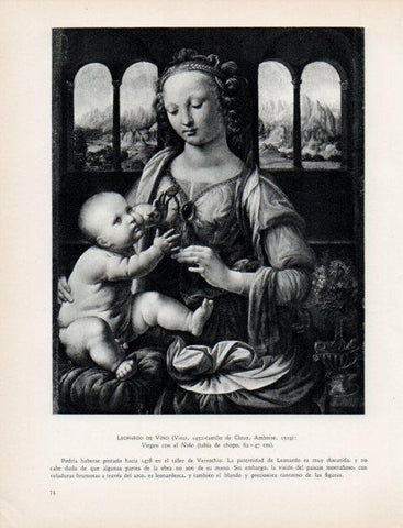 LAMINA V33011: Virgen con el Niño por Da Vinci