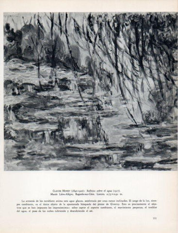 LAMINA V32973: Reflejos sobre el agua por Monet