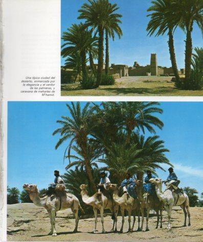 LAMINA V33262: Ciudad en el desierto y Meharies de M'hamid, Marruecos