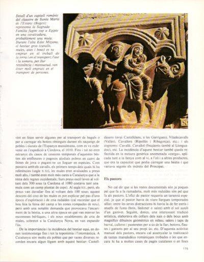 LAMINA V33357: Capitell del claustre de Santa Maria de l'Estany