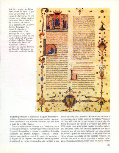 LAMINA V33363: Foli 205 del Llibre Verd segle XIV